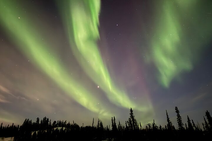Yellowknife Aurora Hunting Tours by Bus