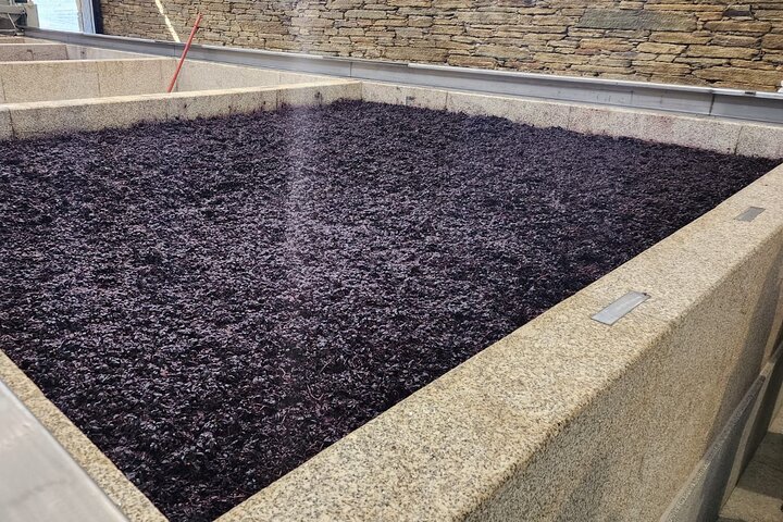 Private Douro Valley Tour (2 wineries + boat)