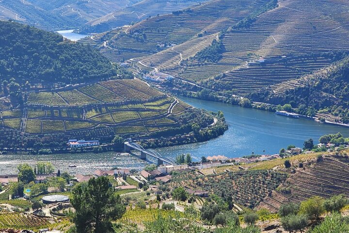 Private Douro Valley Tour (2 wineries + boat)
