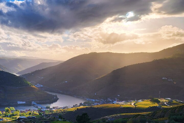 Private Douro Valley Tour (2 wineries + boat)