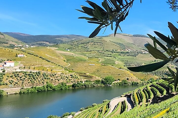 Private Douro Valley Tour (2 wineries + boat)