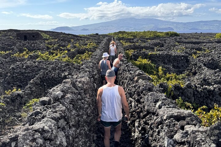 Pico Island wine culture - Private tour (+ optional wine tasting)