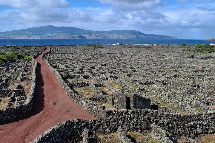 Pico Island wine culture - Private tour (+ optional wine tasting)