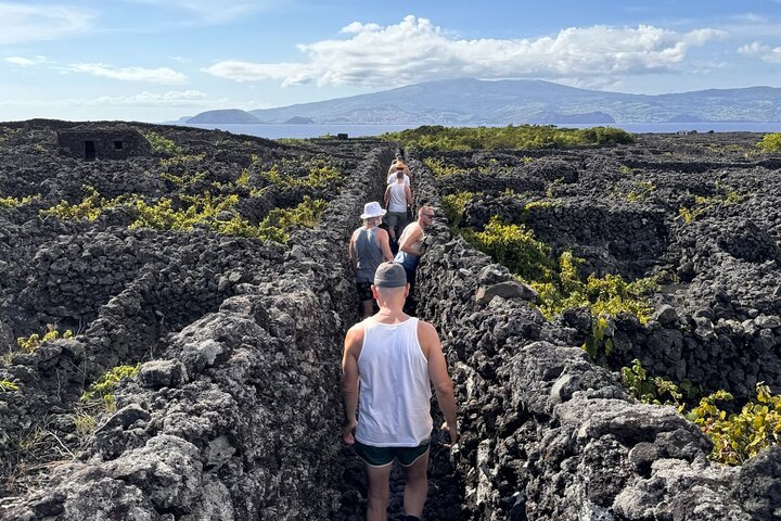 Pico Island highlights - Private tour (+ optional wine tasting)