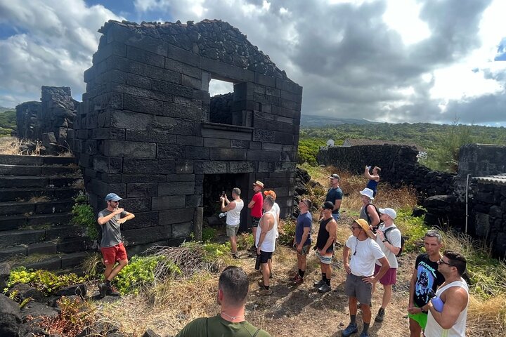 Pico Island wine culture - Private tour (+ optional wine tasting)