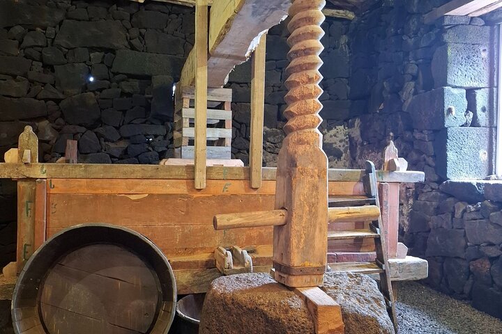 Pico Island wine culture - Private tour (+ optional wine tasting)