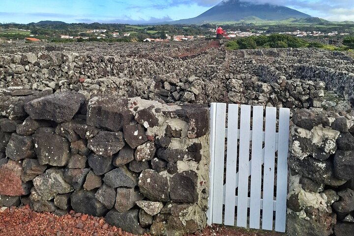 Pico Island wine culture - Private tour (+ optional wine tasting)