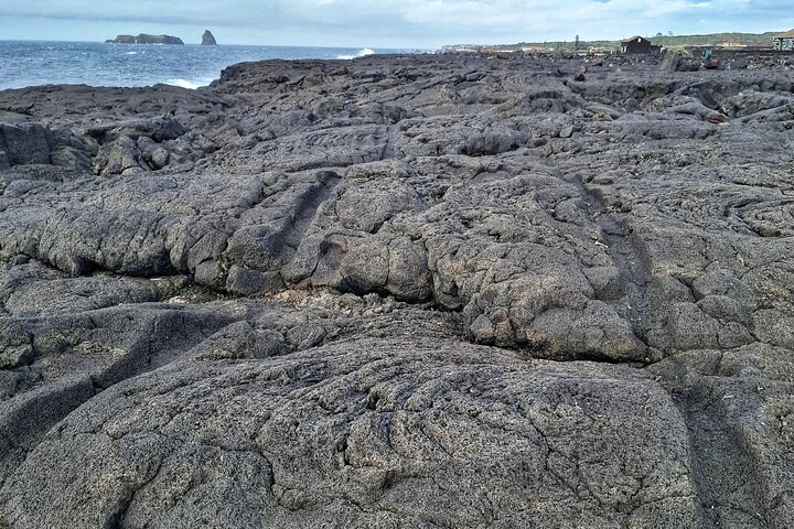 Pico Island wine culture - Private tour (+ optional wine tasting)