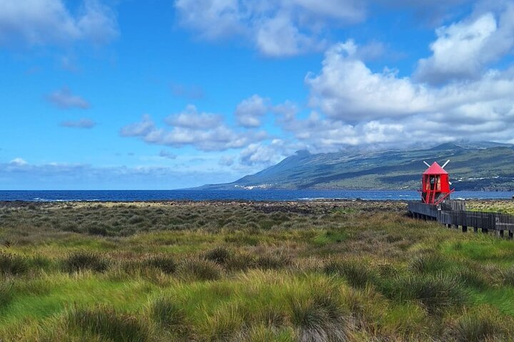 Pico Island highlights - Private tour (+ optional wine tasting)