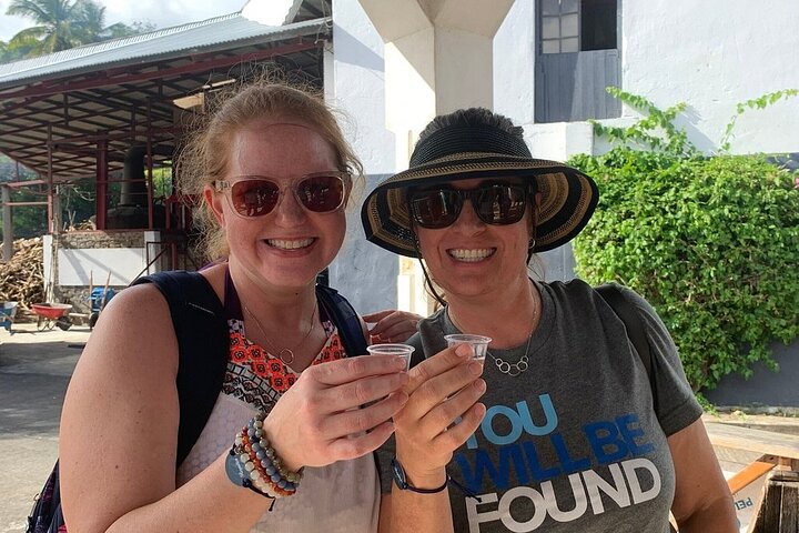 Full-Day Tour: Concord Waterfall, Chocolate Factory, Rum Distillery, Grand Etang