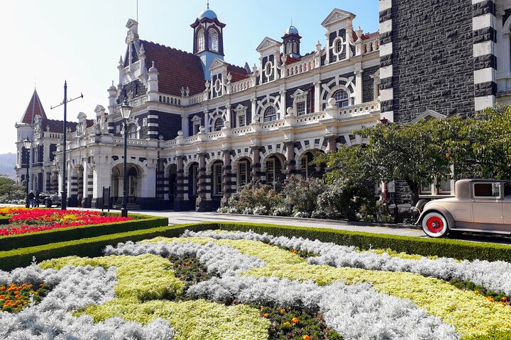 Dunedin City Highlights, Otago Peninsula Scenery & a Guided Penguin Reserve Tour