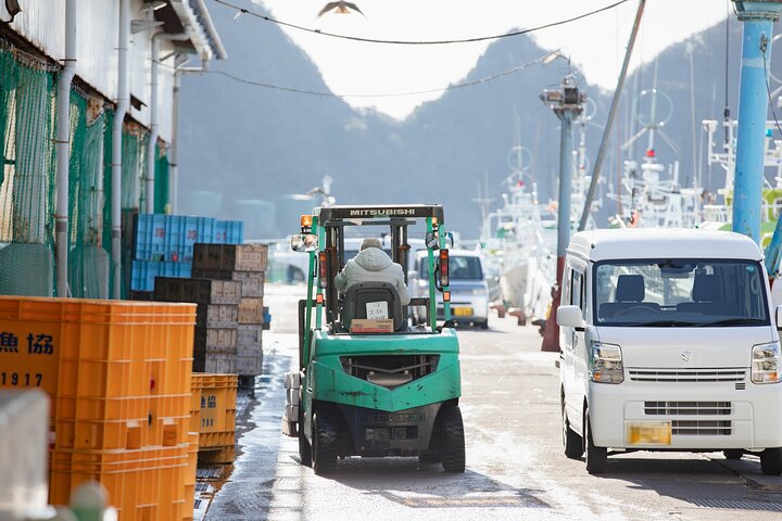 Tuna Auction Market Guided Private Tour in Nachi-Katsuura