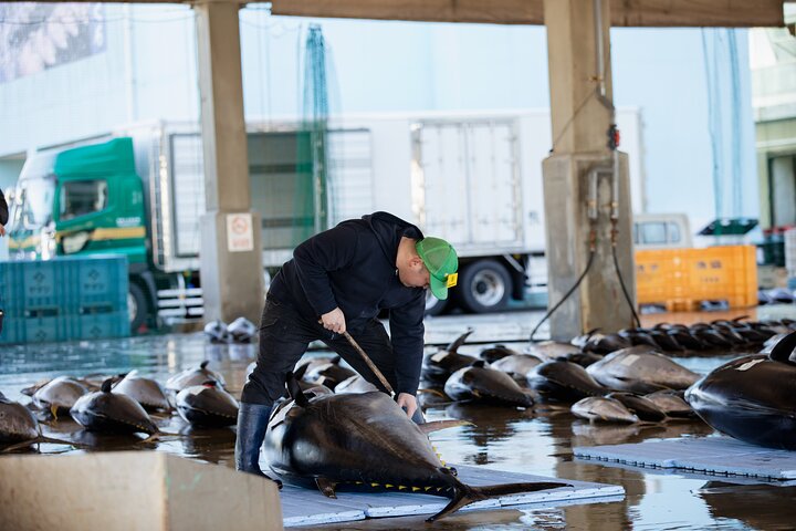 Tuna Auction Market Guided Private Tour in Nachi-Katsuura