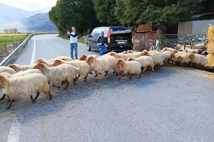 Knossos & Lasithi Plateau: Zeus Cave, Villages, Olive Oil Tour