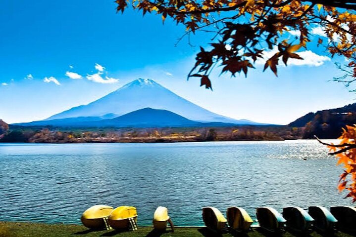 Tokyo: Customized Mt. Fuji & Hakone Sightseeing Private Day Trip