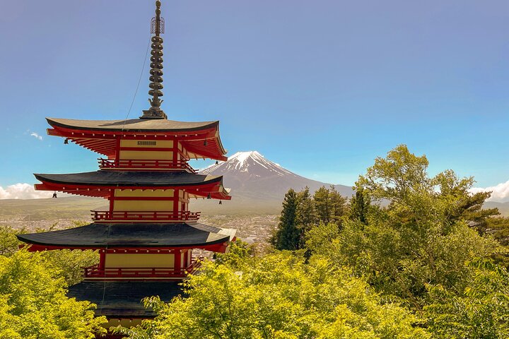 Tokyo: Customized Mt. Fuji & Hakone Sightseeing Private Day Trip