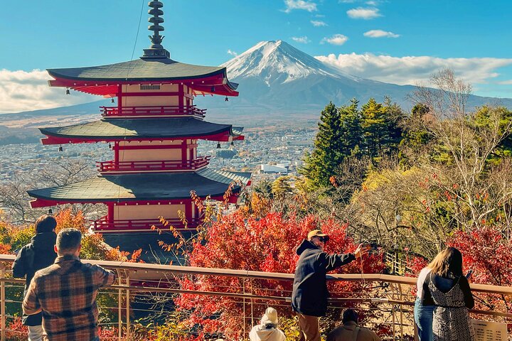 Tokyo: Customized Mt. Fuji & Hakone Sightseeing Private Day Trip