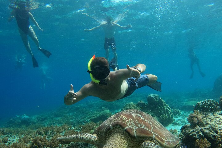 Gili Island Exclusive Private Snorkeling Underwater Escape