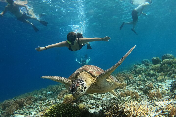 Gili Island Exclusive Private Snorkeling Underwater Escape