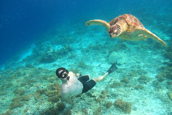 Gili Island Exclusive Private Snorkeling Underwater Escape