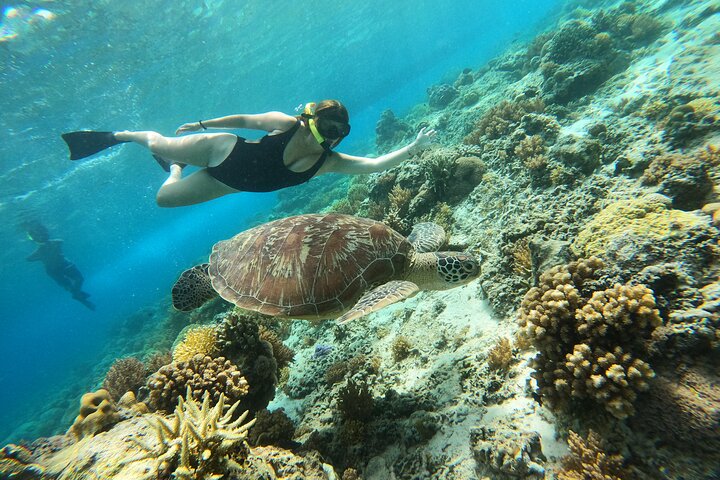 Gili Island Exclusive Private Snorkeling Underwater Escape