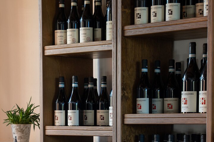 Barolo Tasting and Vineyard Tour and Winery Visit