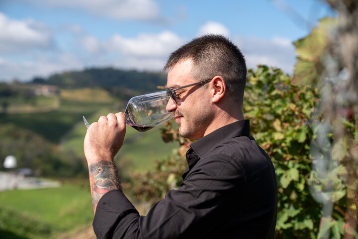Barolo Tasting and Vineyard Tour and Winery Visit