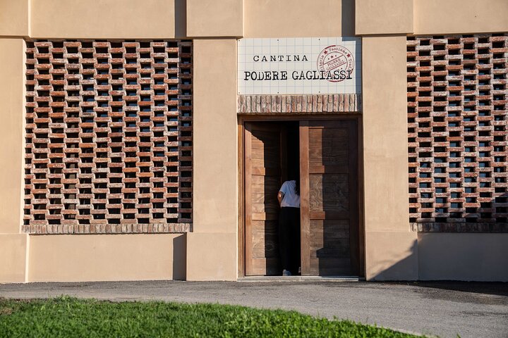 Barolo Tasting and Vineyard Tour and Winery Visit