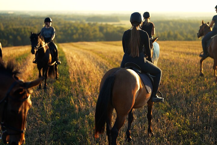 Horseback Riding in the Landscape