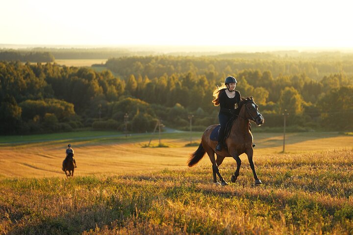 Horseback Riding in the Landscape
