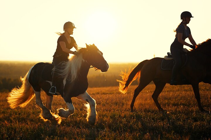 Horseback Riding in the Landscape
