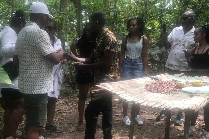 Waterfalls, Aburi Botanical Gardens & a Cocoa Farm Experience.