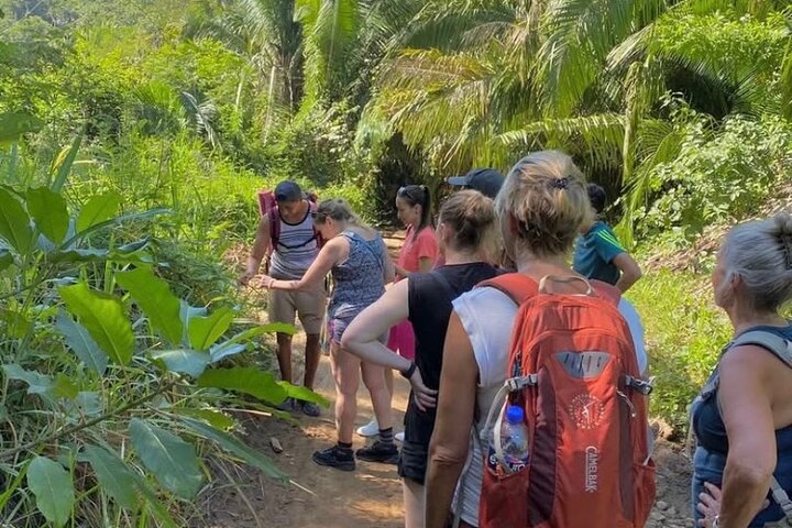 Biocultural Hiking Experience in Sayulita
