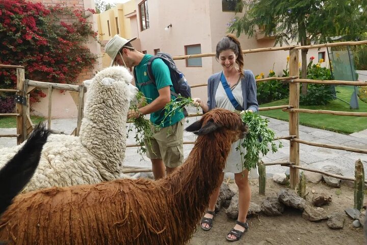 Guided tour of the city of Arequipa in private service