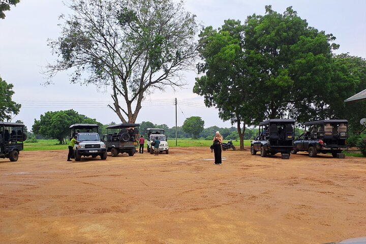 Udawalawe Safari With Hotel Pick-up & All Transfers -Private Tour