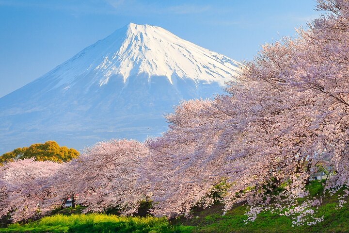 Mount Fuji and Hakone Private Tour
