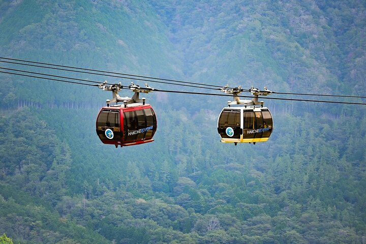 Mount Fuji and Hakone Private Tour