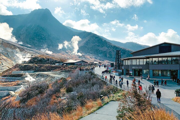 Mount Fuji and Hakone Private Tour
