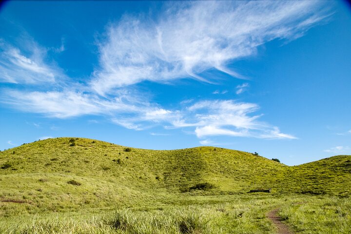 Full Day Essential Jeju Island Private tour for West Course