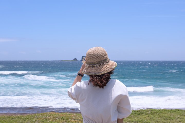 Full-day Customizable Private Jeju Island Tour