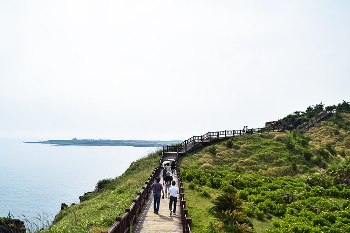 Full-day Customizable Private Jeju Island Tour
