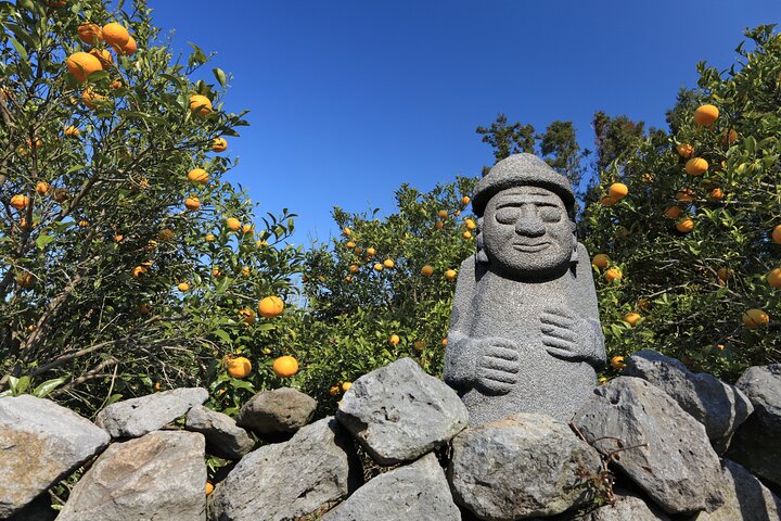 Full-day Customizable Private Jeju Island Tour