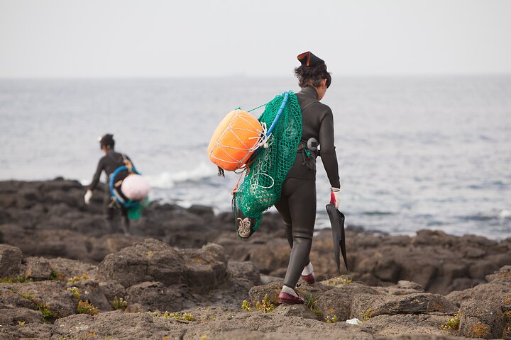 Full-day Customizable Private Jeju Island Tour