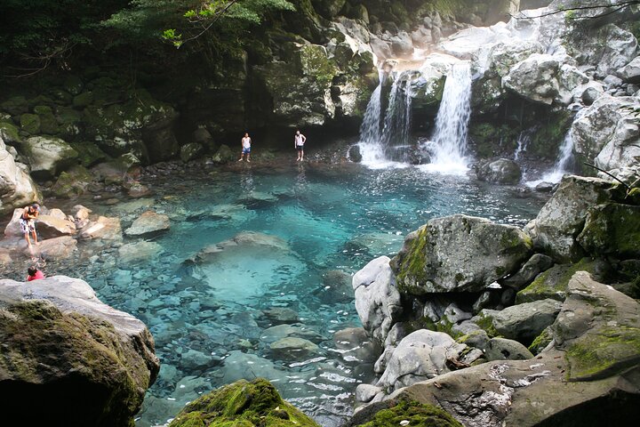 Full-day Customizable Private Jeju Island Tour
