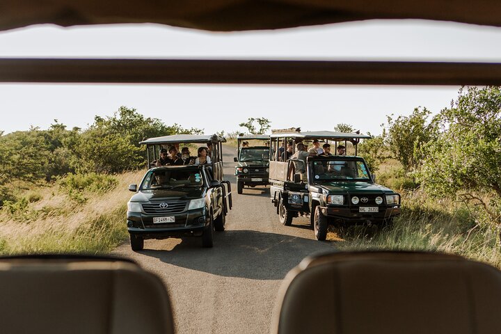 Six On Safari to Hluhluwe Imfolozi Game Reserve