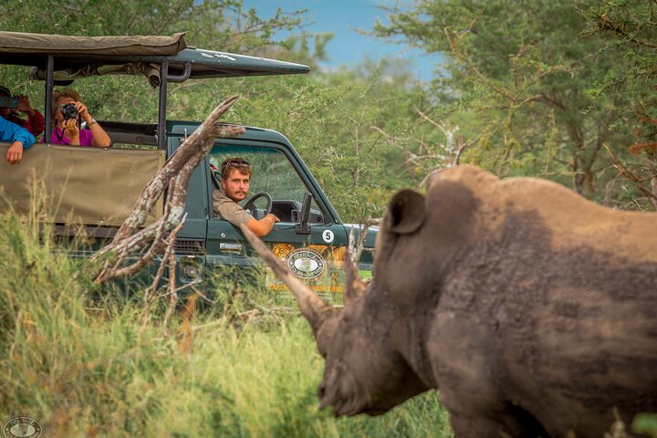 Six On Safari to Hluhluwe Imfolozi Game Reserve