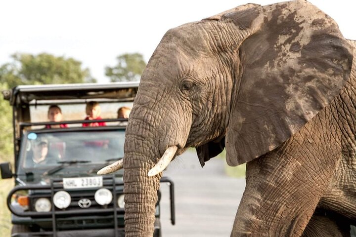 Six On Safari to Hluhluwe Imfolozi Game Reserve