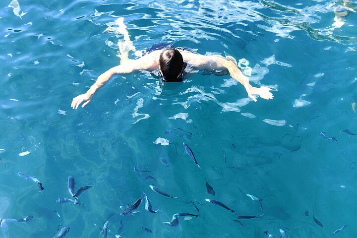 Makarska 3-Island Speedboat Tour: Blue Cave on Hvar & Blue Lagoon