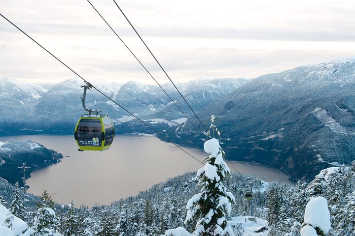 Sea to Sky Gondola Ticket