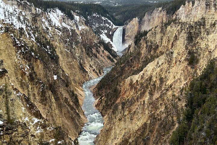 Yellowstone Full Day Tours